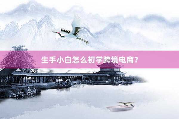 生手小白怎么初学跨境电商？