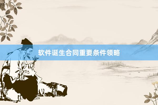 软件诞生合同重要条件领略