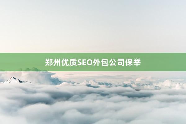 郑州优质SEO外包公司保举