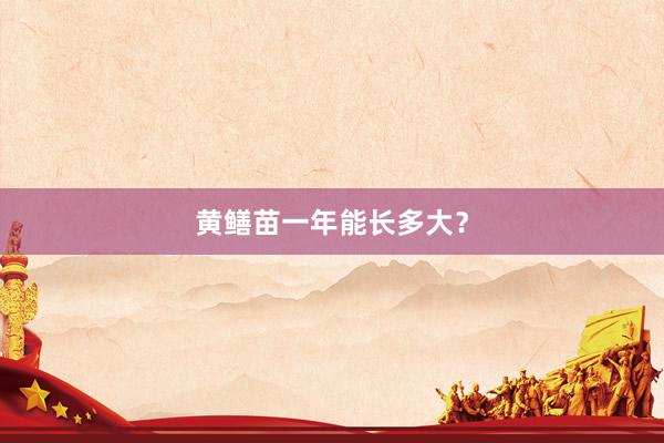 黄鳝苗一年能长多大？